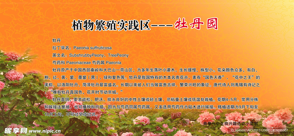 牡丹园简介