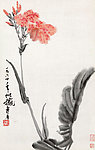 美人蕉