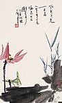 映日荷花