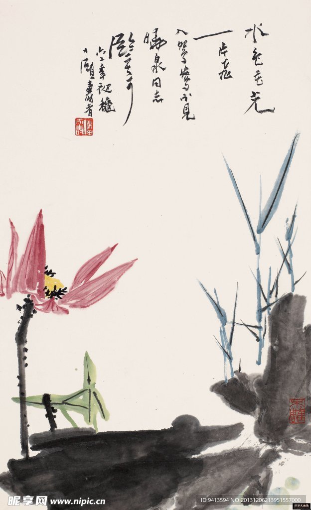 映日荷花