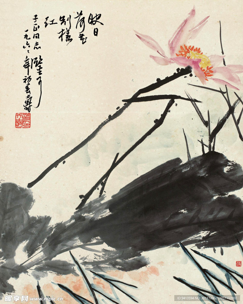 映日荷花
