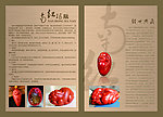 画册