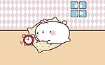 胖兔子