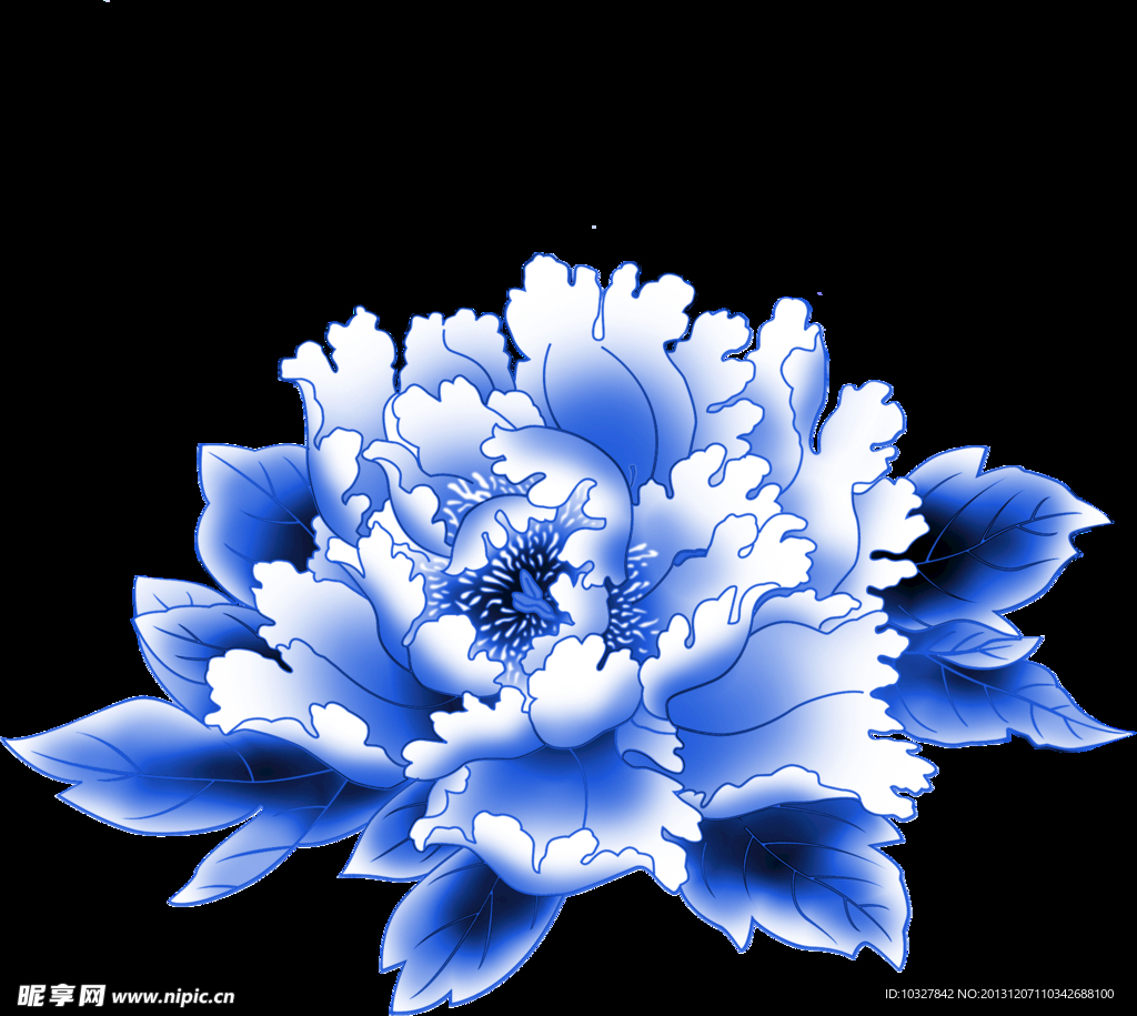 牡丹花