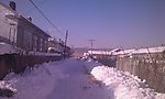 冬日积雪摄影图片