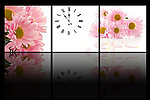 菊花钟表三联画