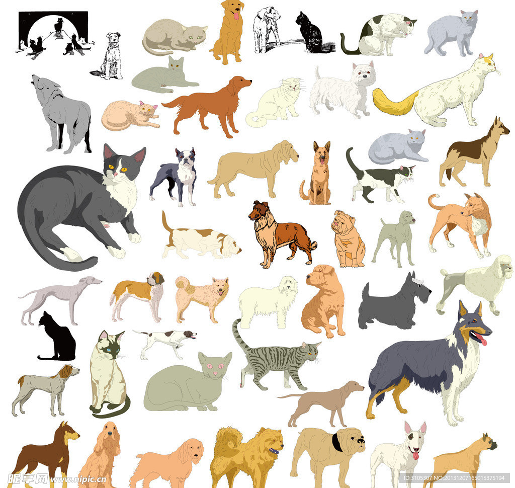 各品种狗猫姿态图案
