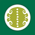 花纹