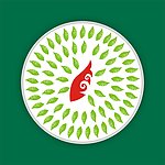 花纹