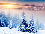 雪景