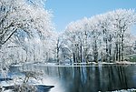 雪景