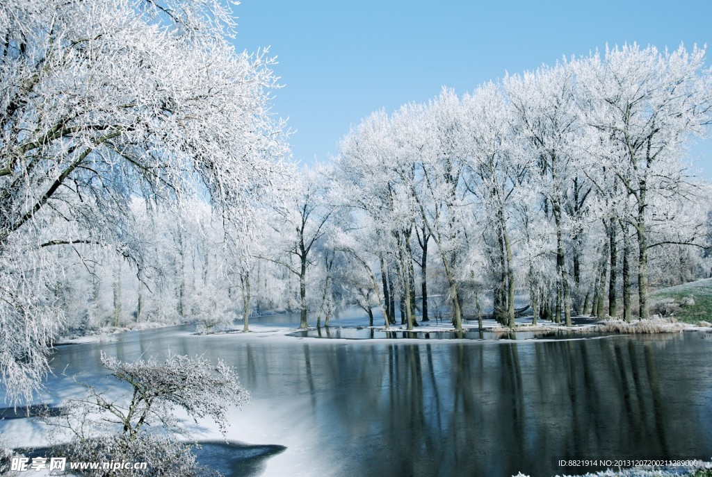 雪景