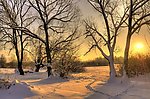 雪景