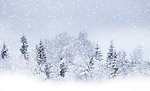 雪景
