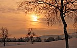 雪景