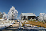 雪景