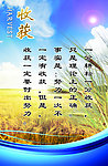 校园展板