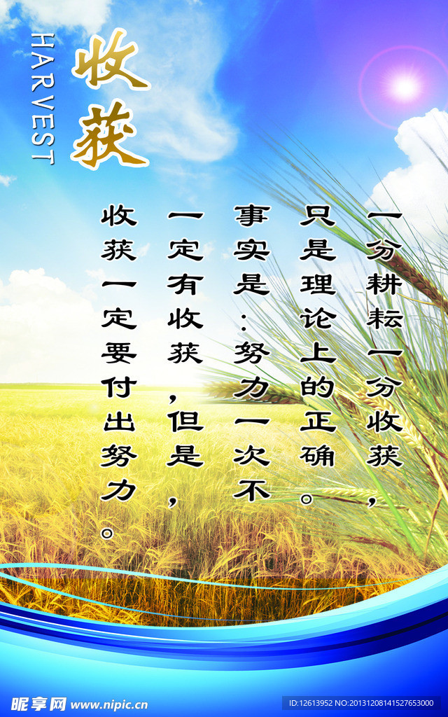 校园展板