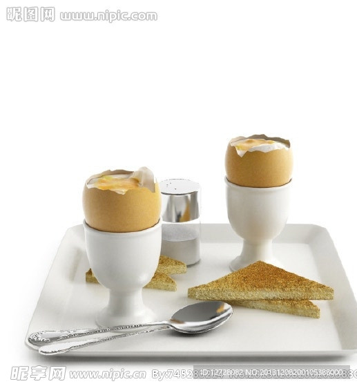 食物 食品