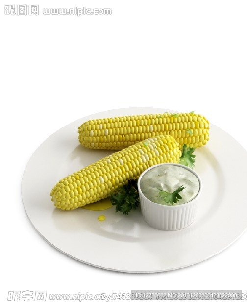 食物 食品