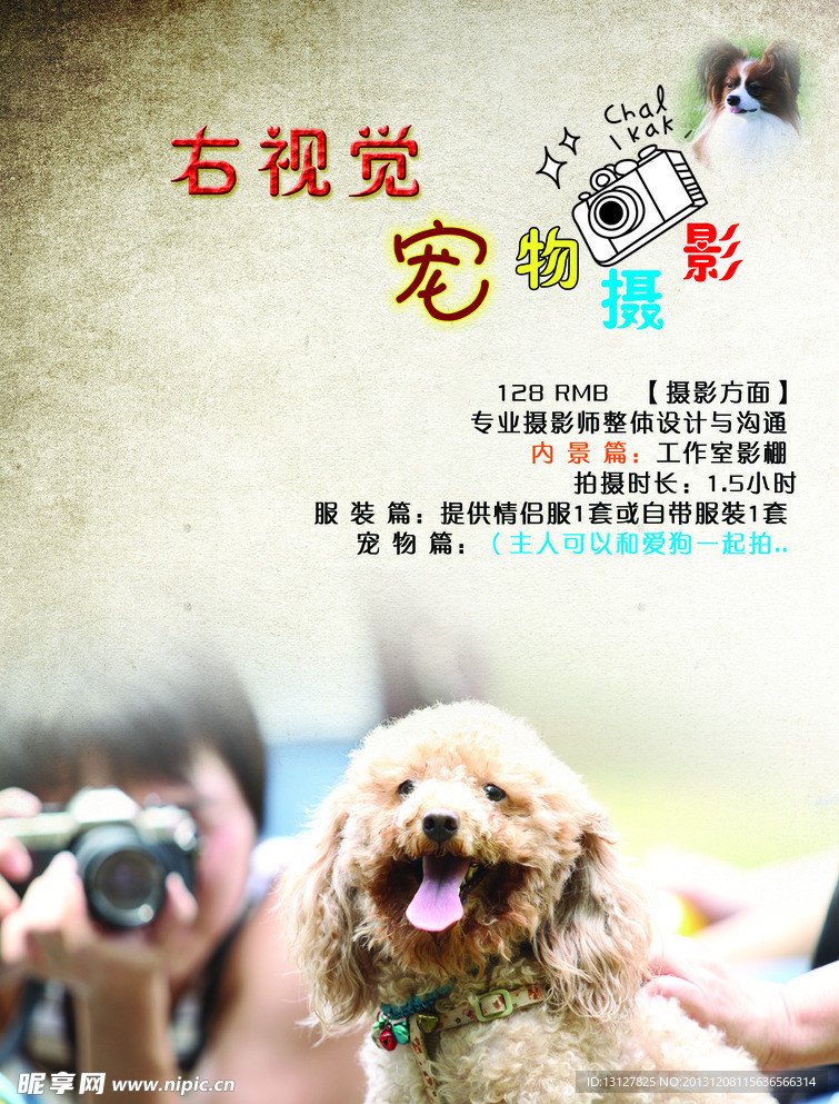 宠物摄像