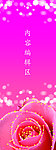 玫瑰花 梦话背景