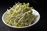 豆芽