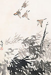 花鸟水墨画