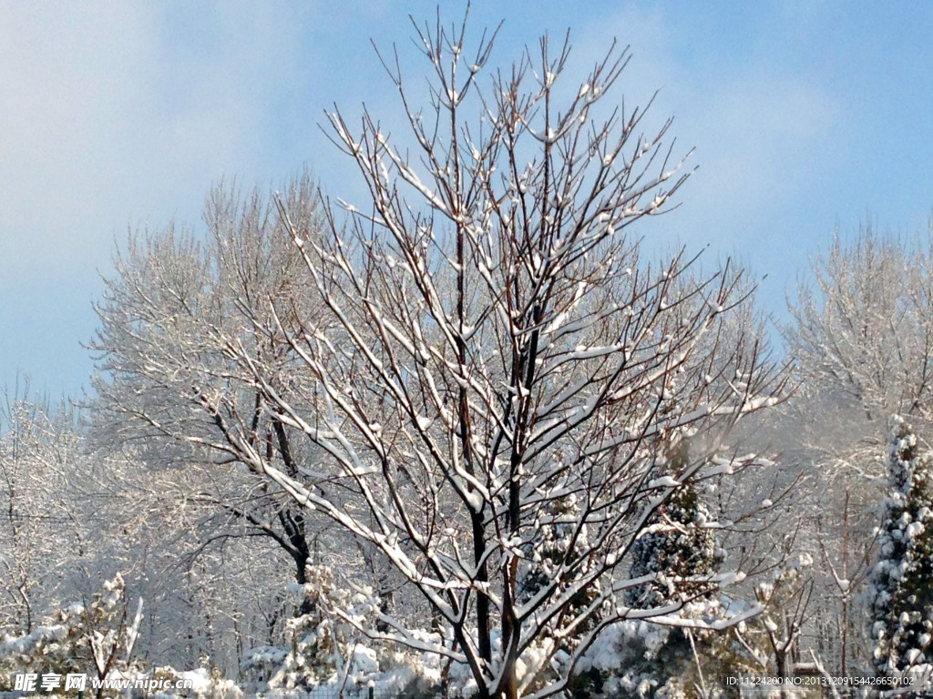 雪景