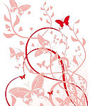 蝴蝶花纹