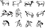牛马简笔矢量图