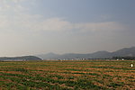 田园风光