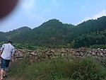 农田风采