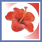 花瓣