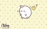 胖兔子
