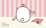 胖兔子