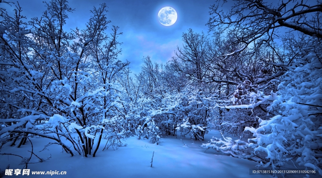 雪景