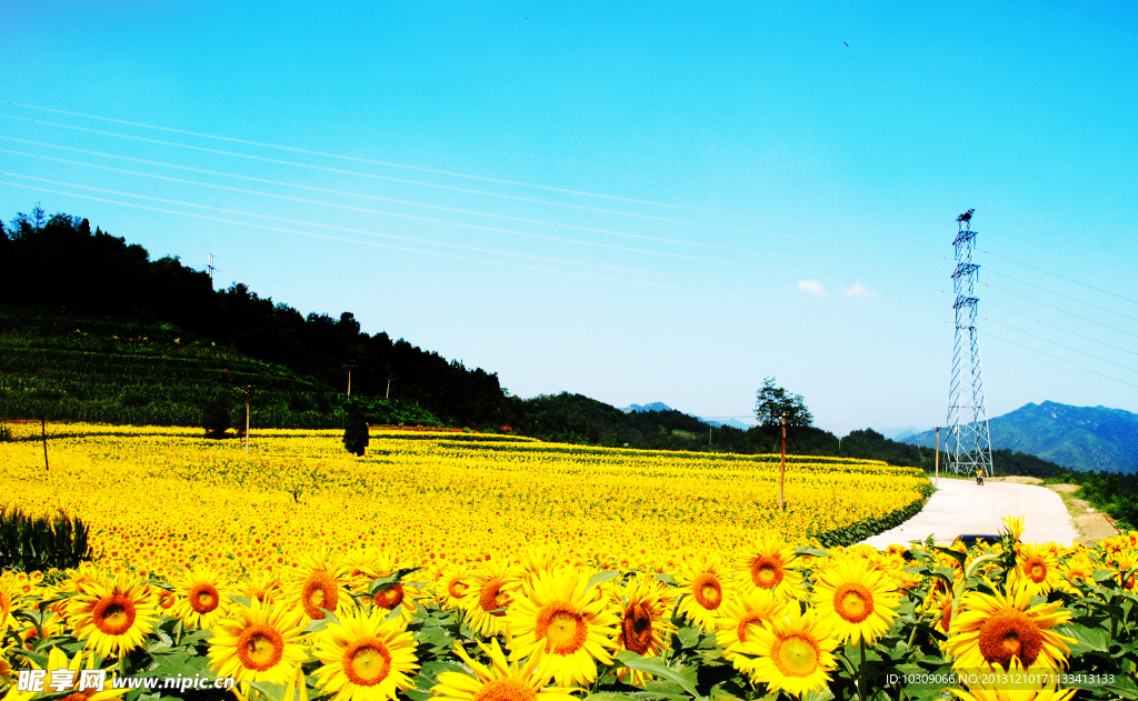 田园风景