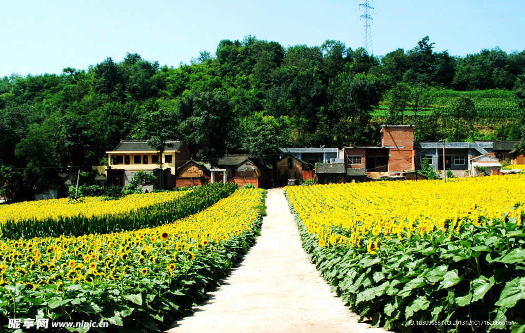 田园风景
