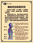排寒养生 养生疗法