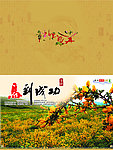 马年贺卡