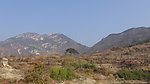 蕙兰山