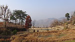 山洼
