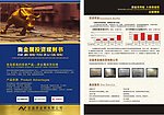 安盈贵金属公司