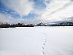 雪景