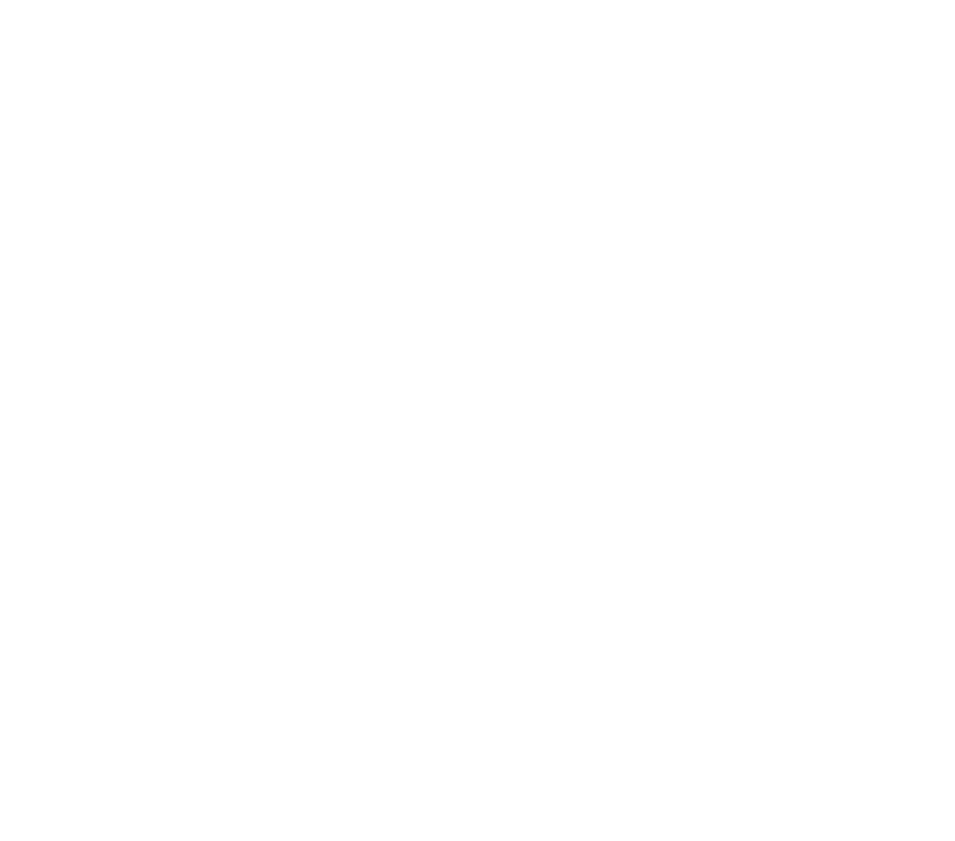 树枝