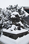 颐和园西门外的雪