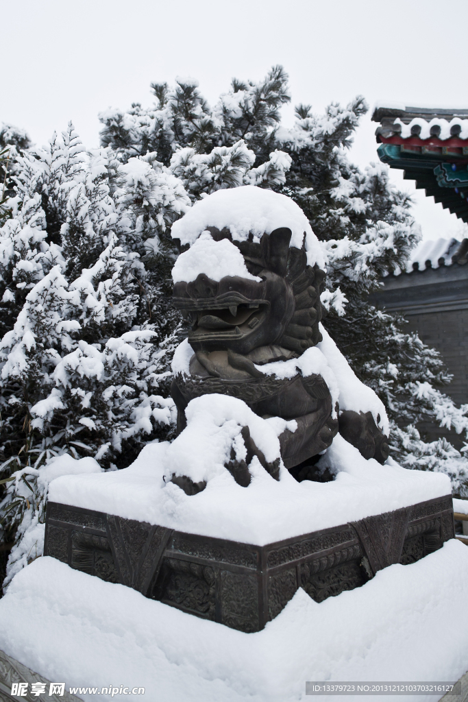 颐和园西门外的雪