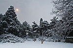 颐和园的雪