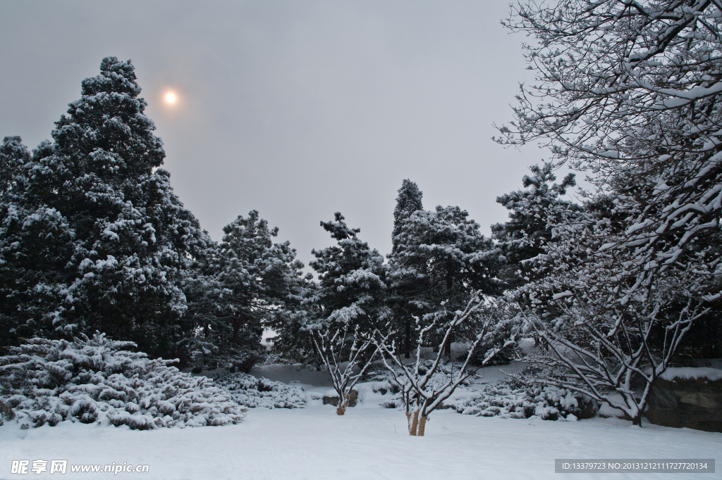 颐和园的雪